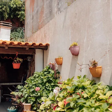 Quarto em Acomodações Particulares Casa Da Avó Bela