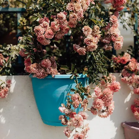 Casa Da Avó Bela Quarto em Acomodações Particulares