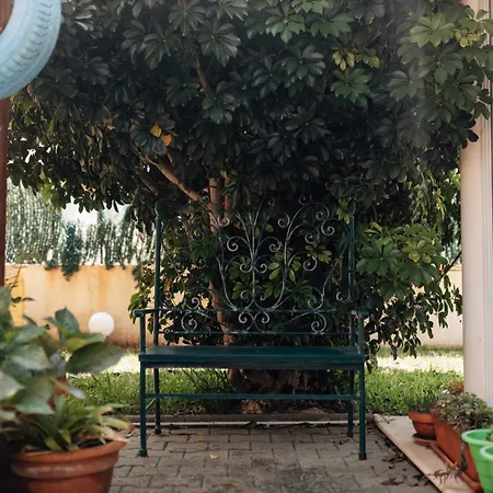 Casa Da Avó Bela Quarto em Acomodações Particulares *