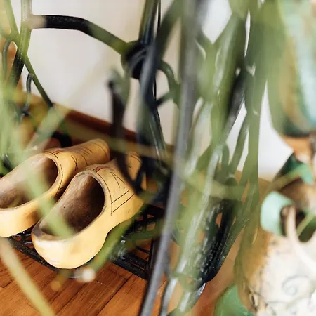 Casa Da Avo Bela Buarcos