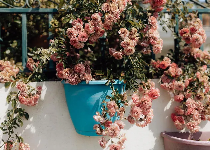 Casa Da Avo Bela Kwatera prywatna