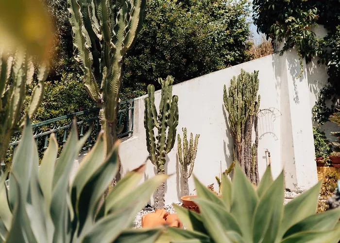 Kwatera prywatna Casa Da Avo Bela *