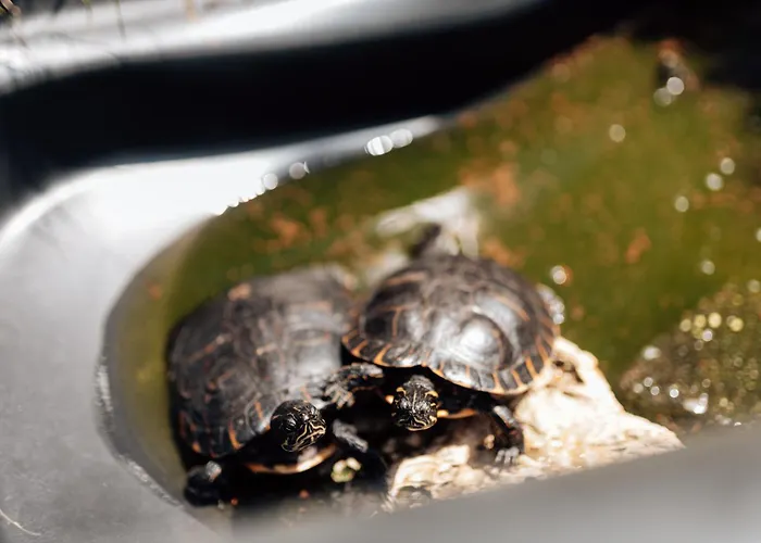 Kwatera prywatna Casa Da Avo Bela